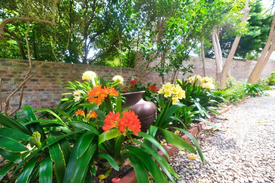 5 Bedroom Property for Sale in Fernkloof Estate Western Cape